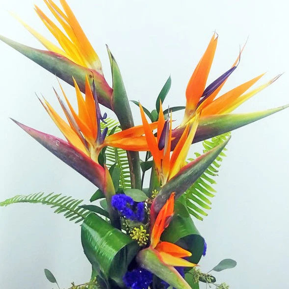 The Tropical Celebrations Bouquet