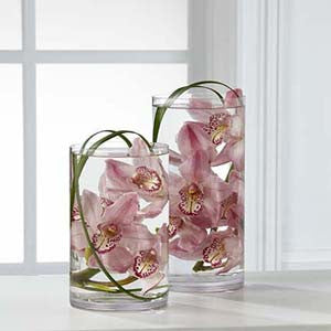 Arrangement - The Tranquil™ Orchid Arrangement J-B29-4391